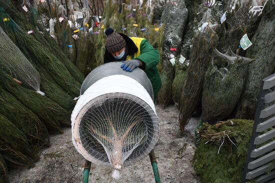 Russia New Year Preparations