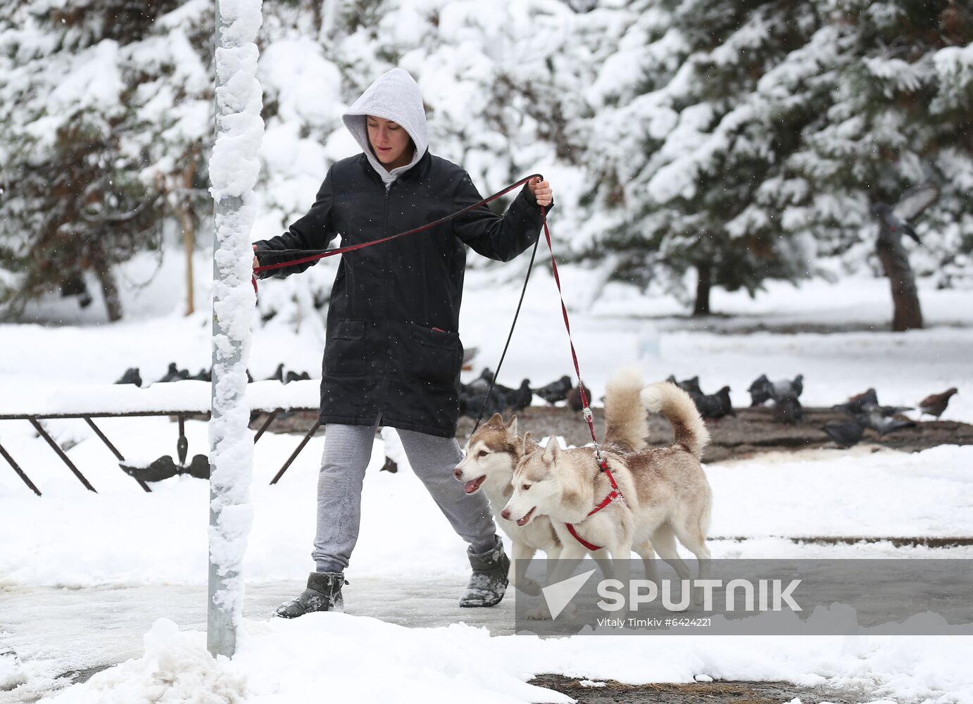 Russia Winter