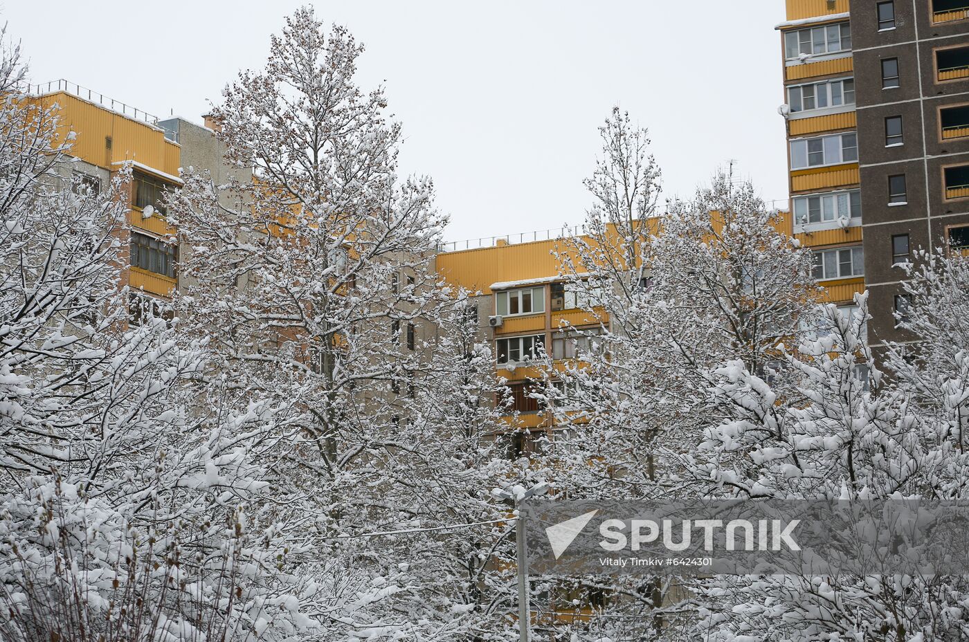 Russia Winter