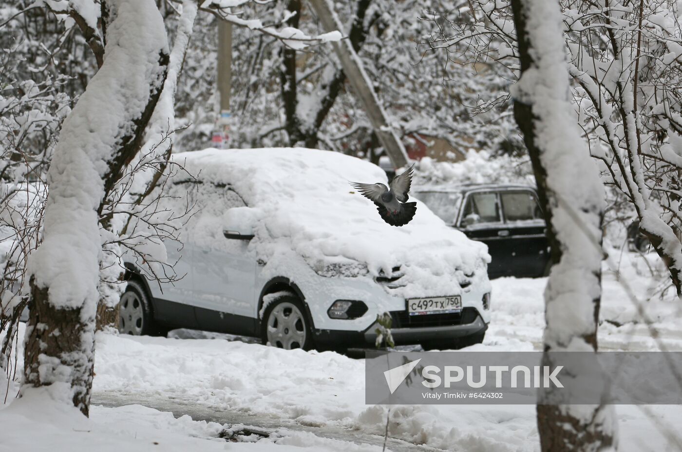 Russia Winter