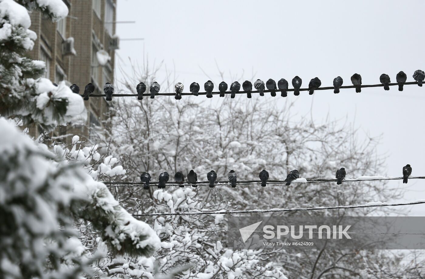 Russia Winter