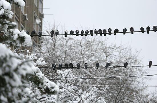 Russia Winter 