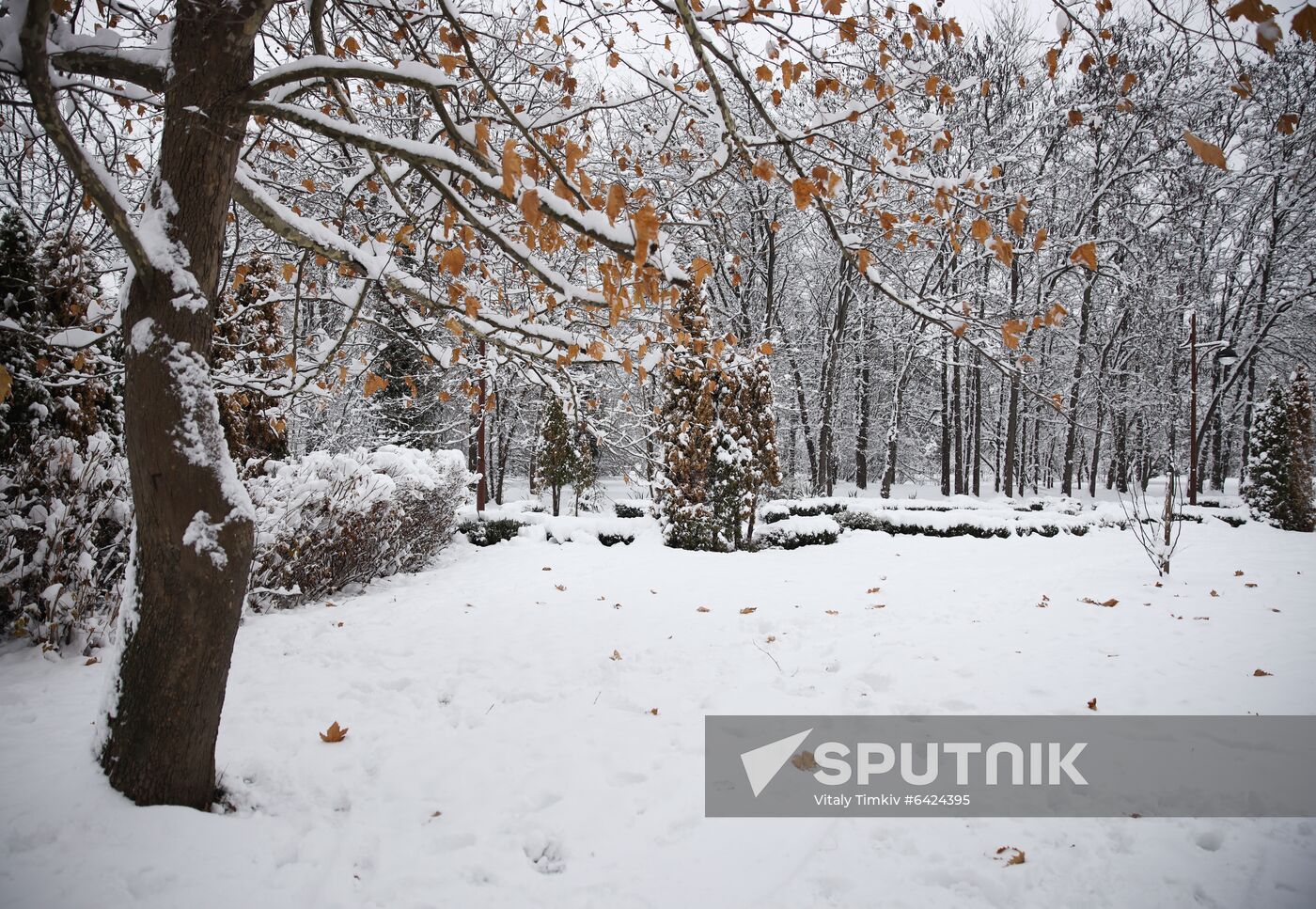 Russia Winter