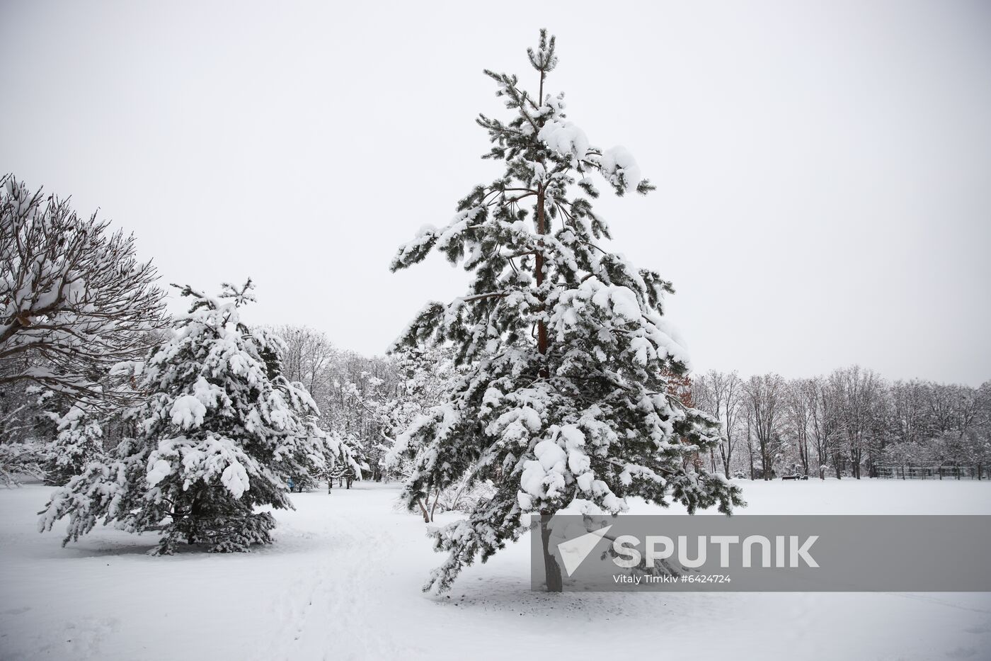 Russia Winter