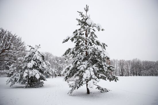 Russia Winter 