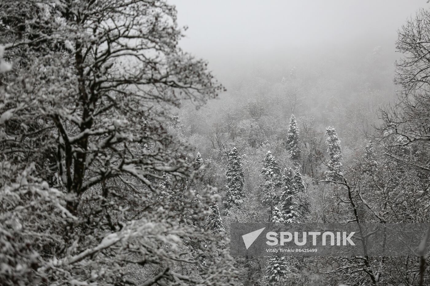Russia Winter