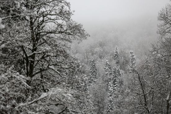 Russia Winter