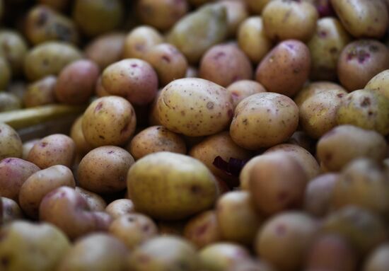Russia Food Price