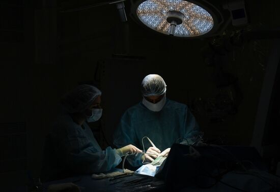 Russia Brain Tumors Surgery