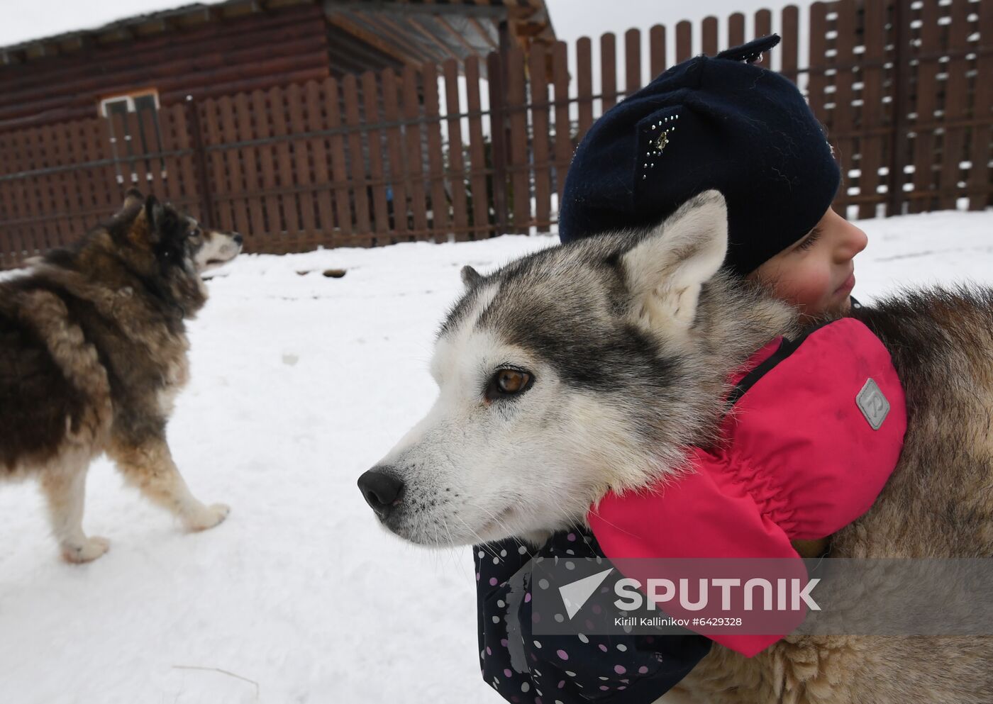 Russia Husky Village 