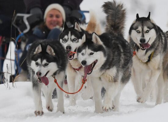 Russia Husky Village 