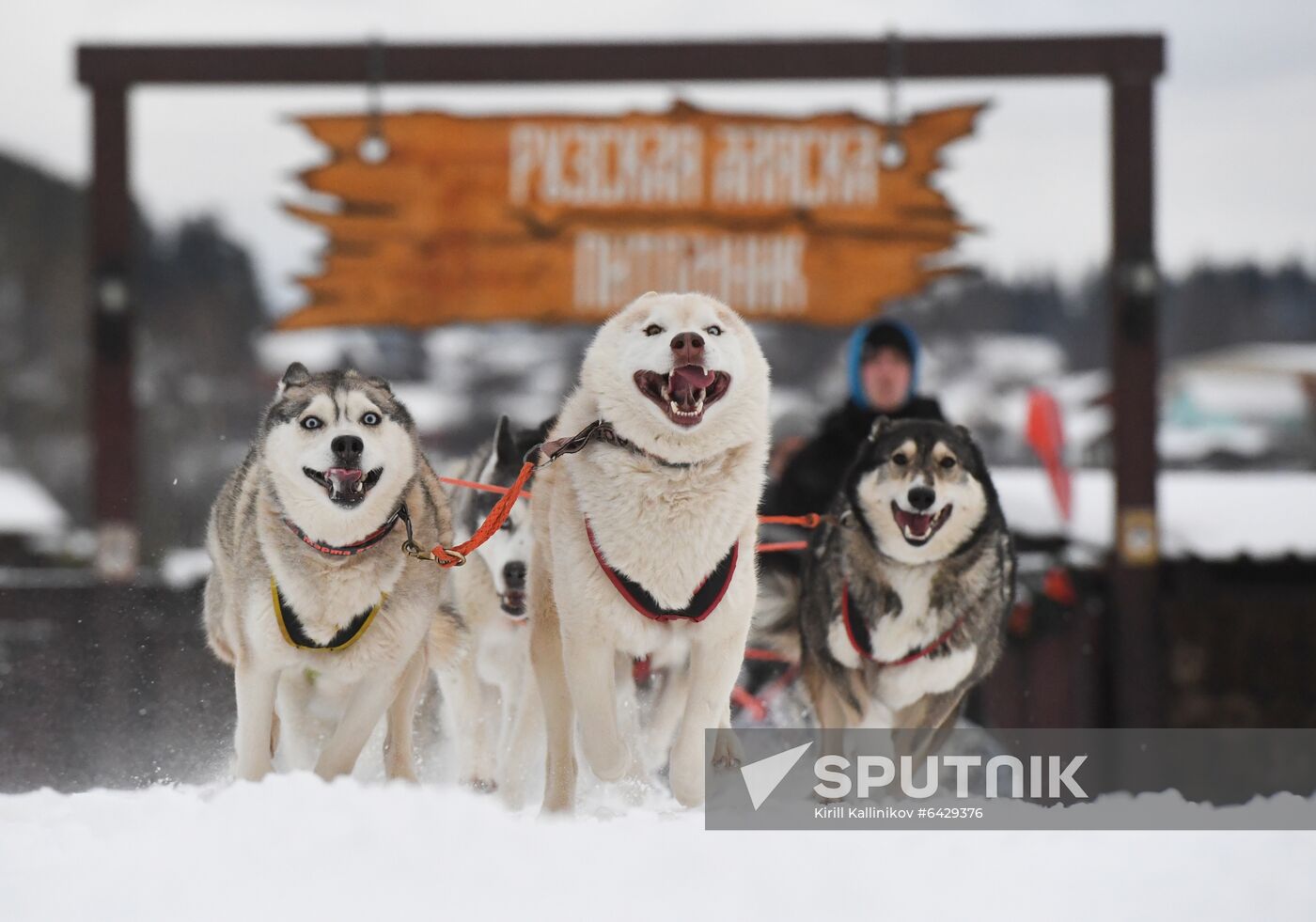 Russia Husky Village 