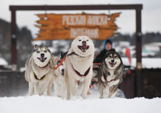 Russia Husky Village 