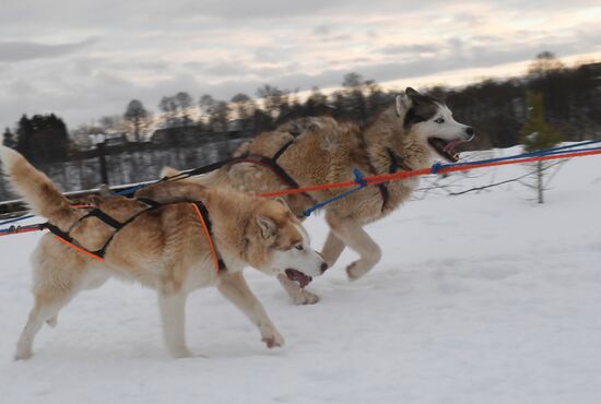 Russia Husky Village 