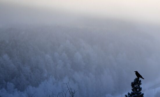 Russia Winter