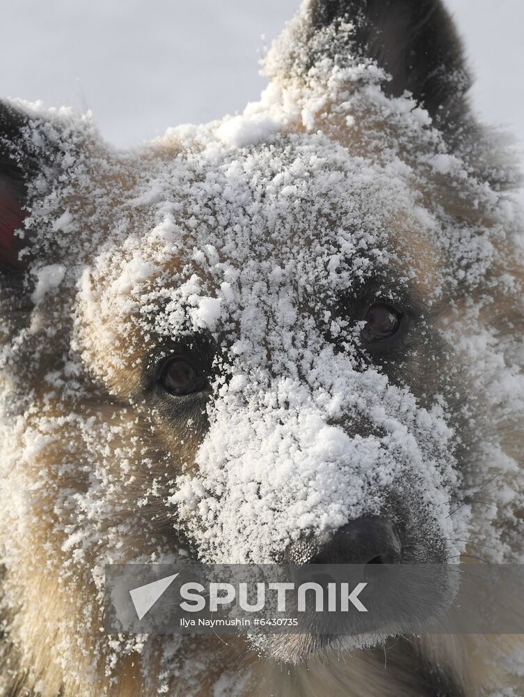 Russia Winter