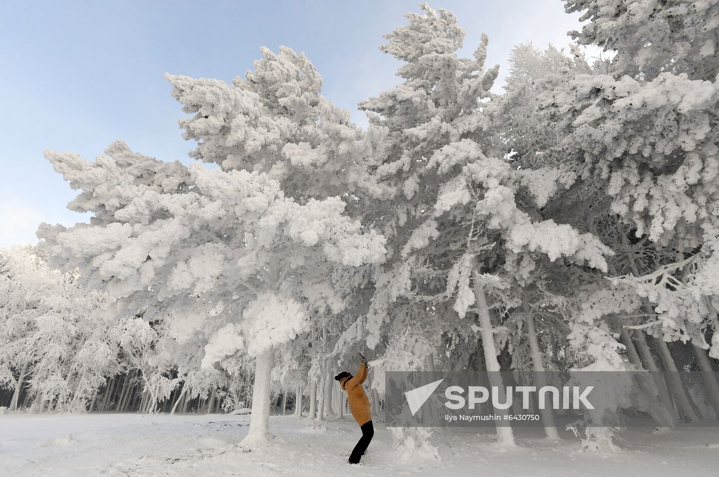 Russia Winter