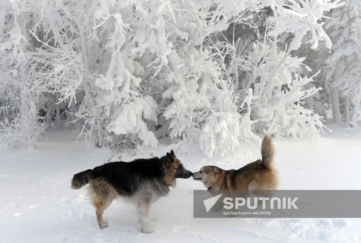 Russia Winter