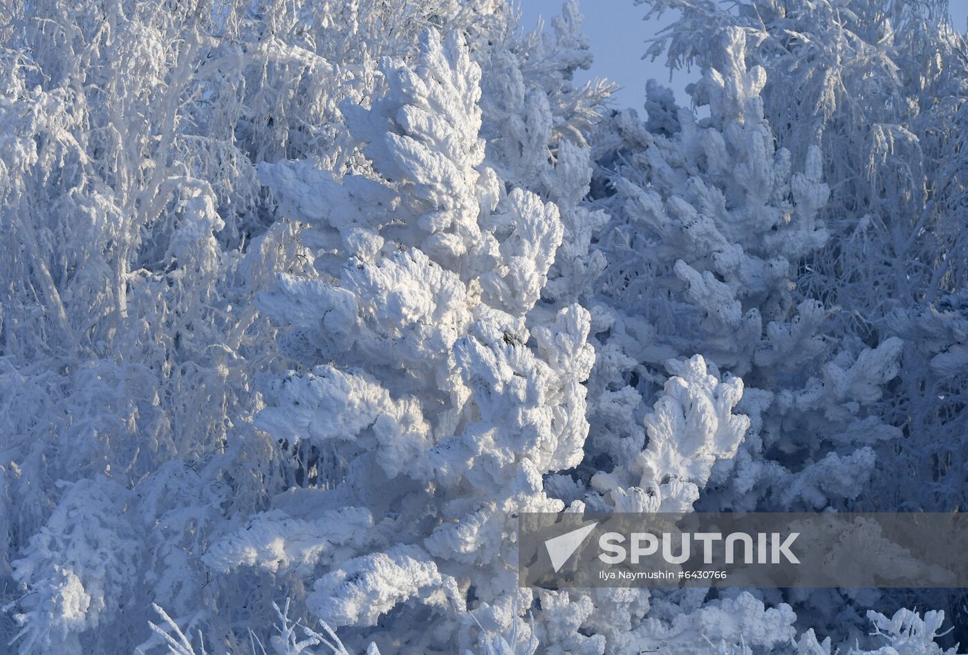 Russia Winter