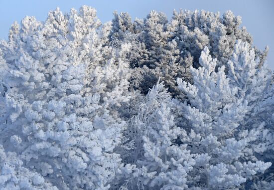Russia Winter