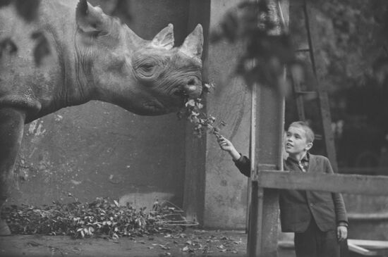 Moscow Zoo
