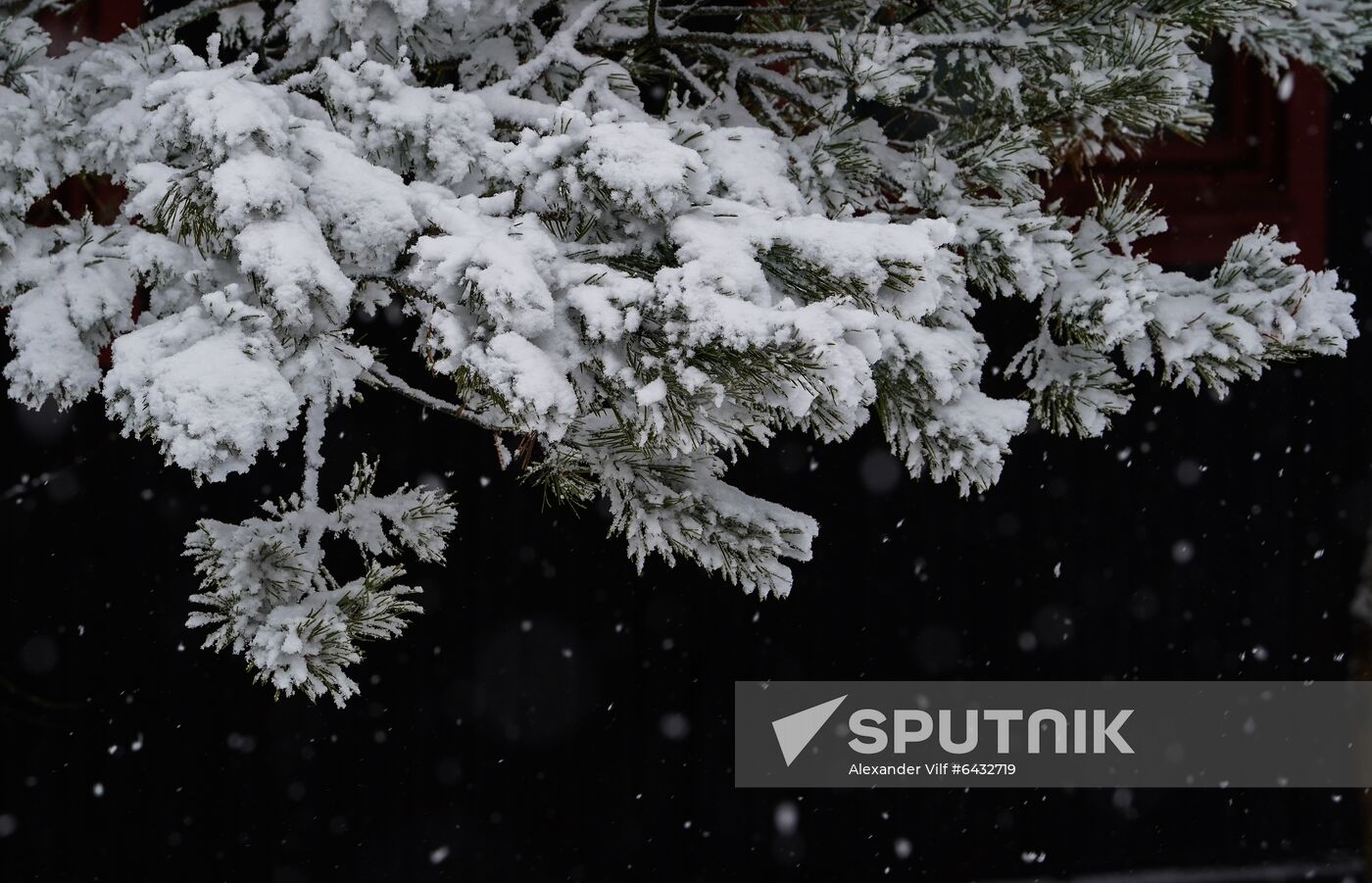 Russia Winter