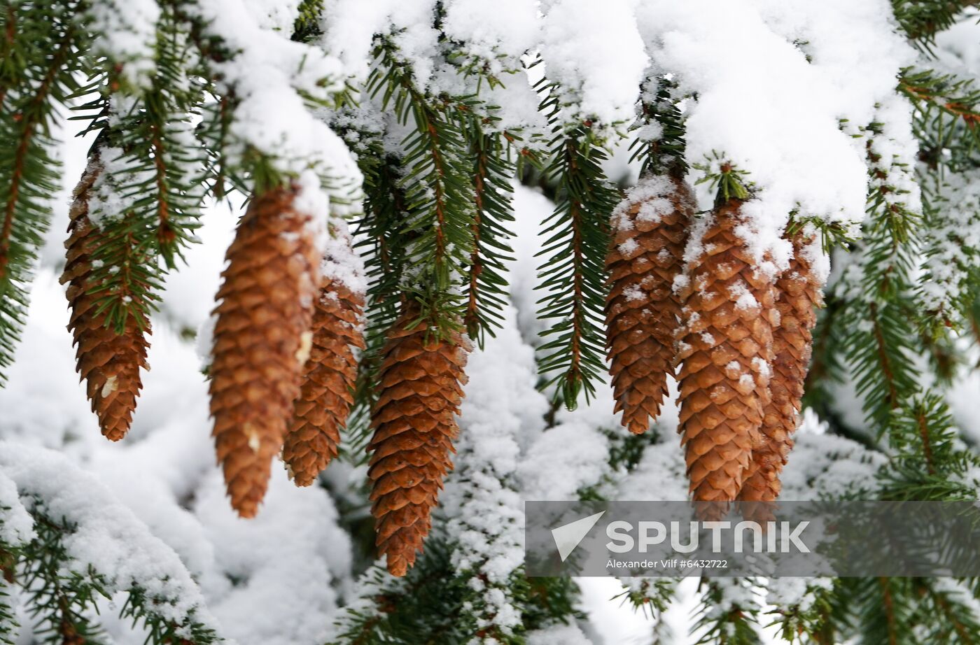 Russia Winter