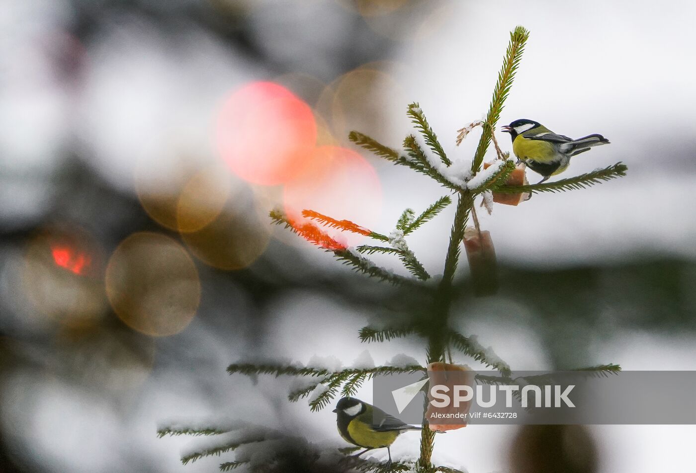 Russia Winter
