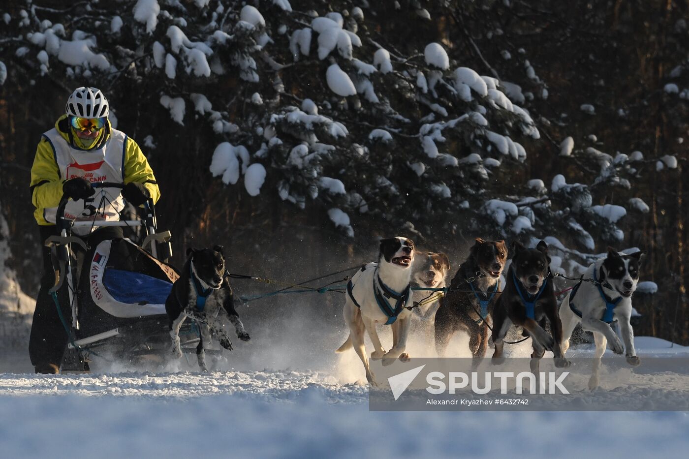 Russia Sled Dog Race