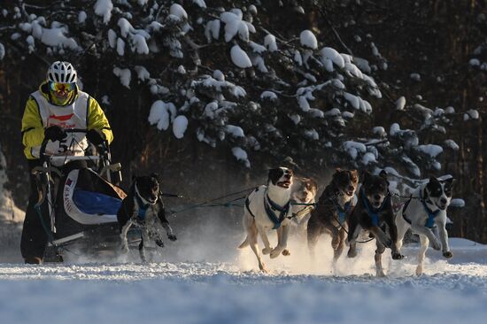 Russia Sled Dog Race