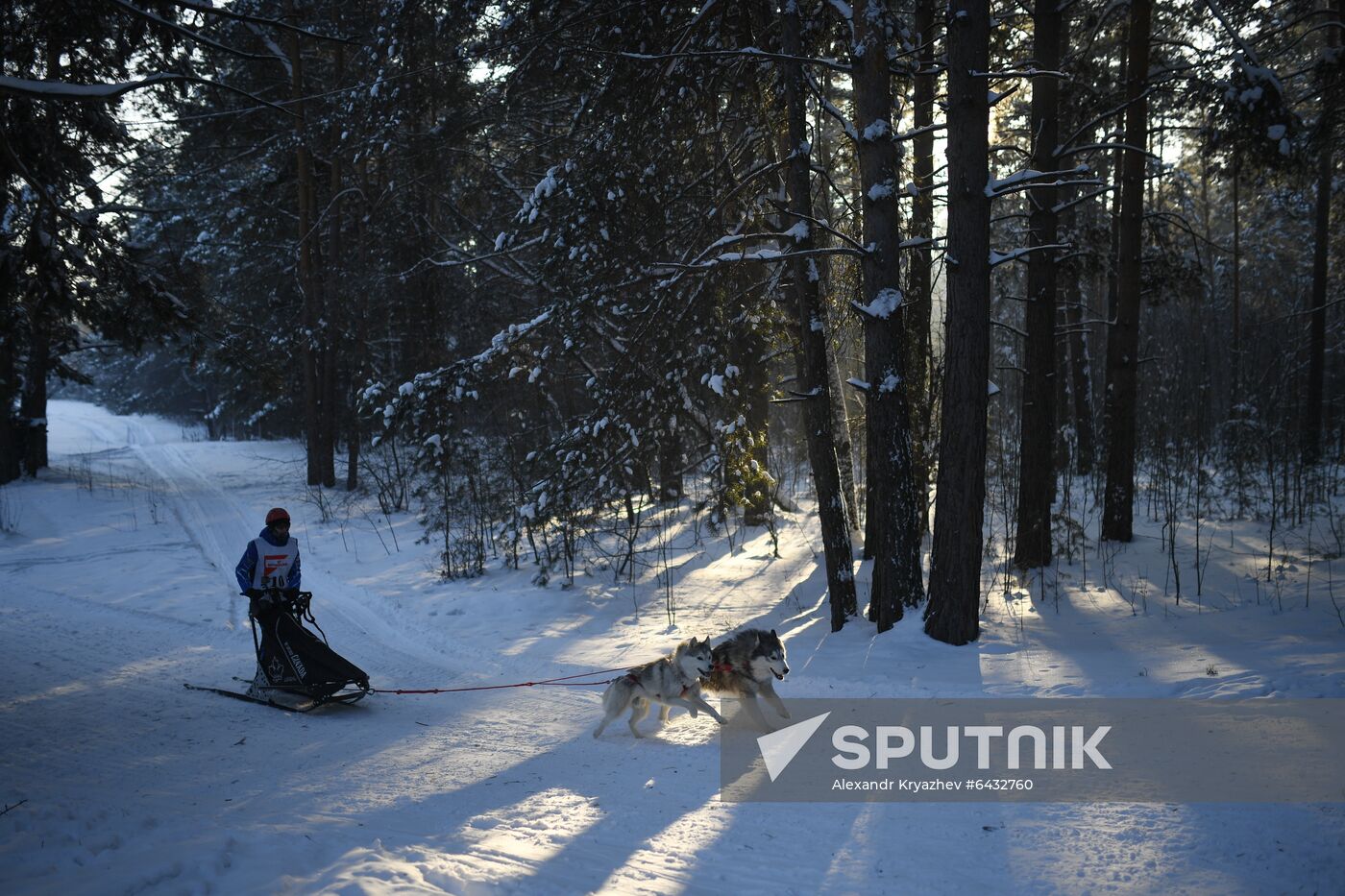 Russia Sled Dog Race