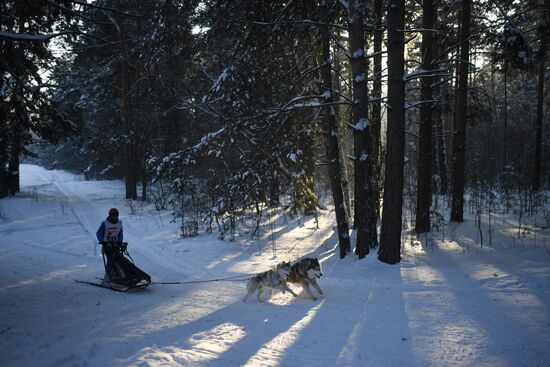 Russia Sled Dog Race
