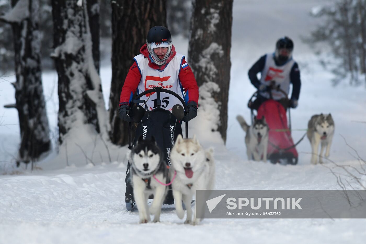 Russia Sled Dog Race