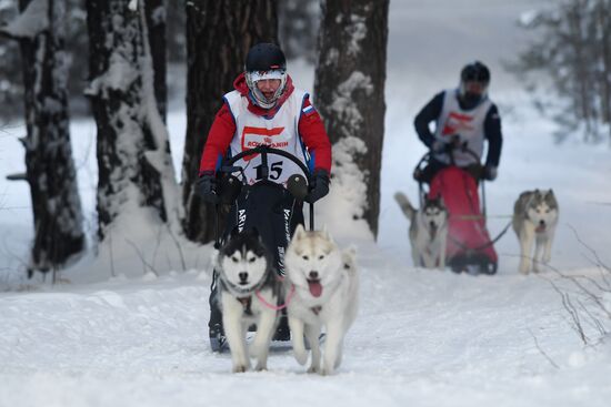 Russia Sled Dog Race