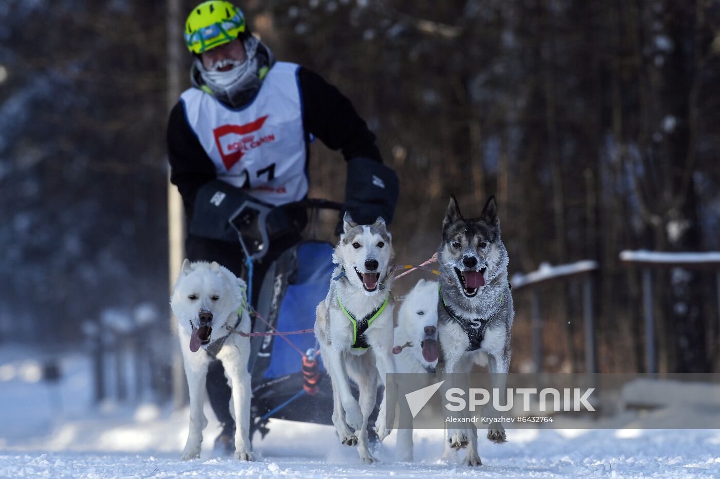 Russia Sled Dog Race