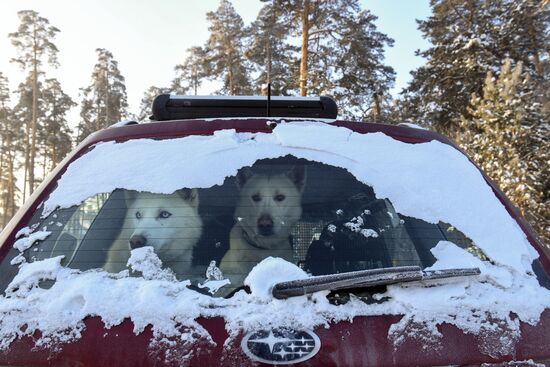 Russia Sled Dog Race