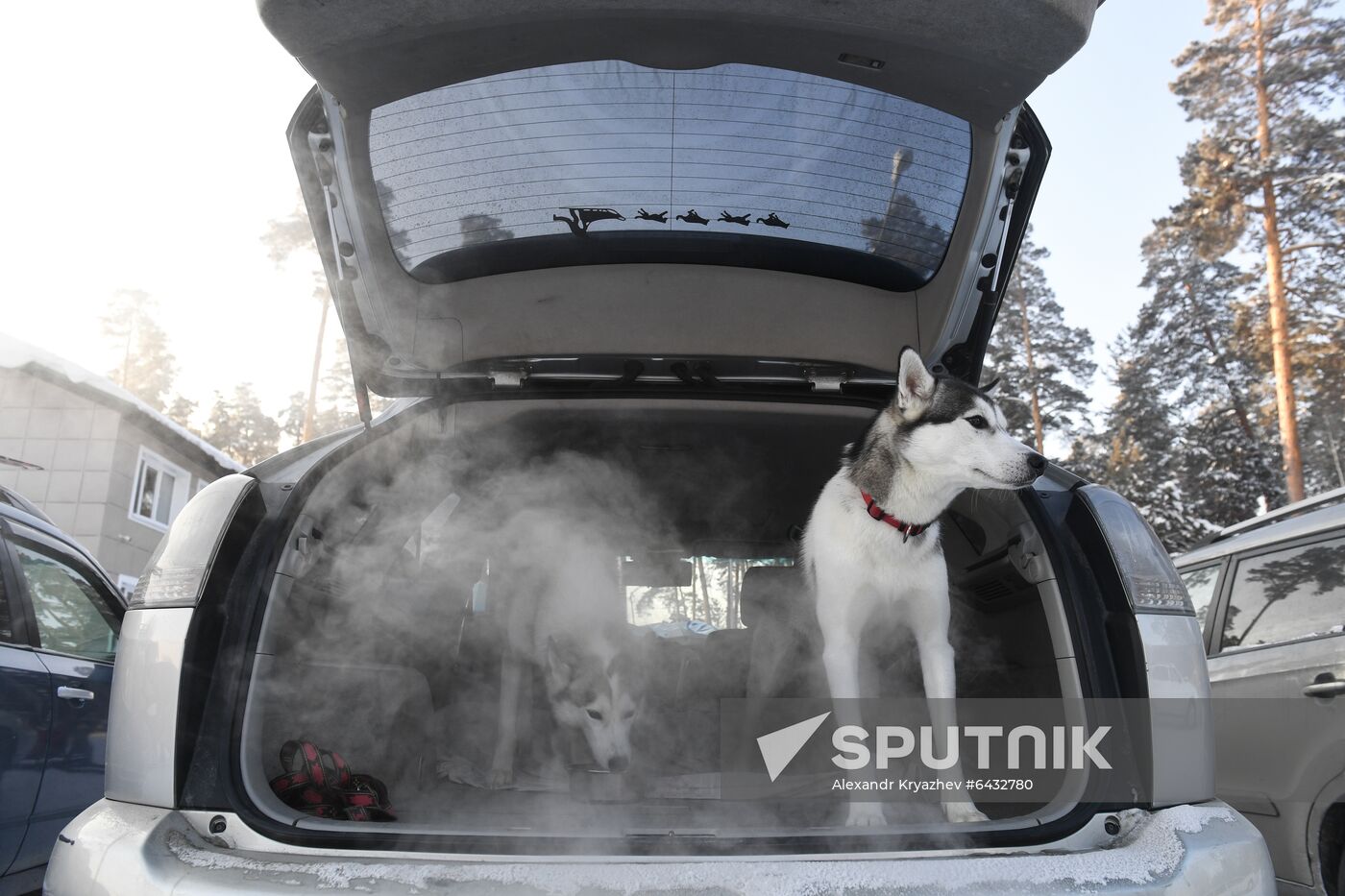 Russia Sled Dog Race