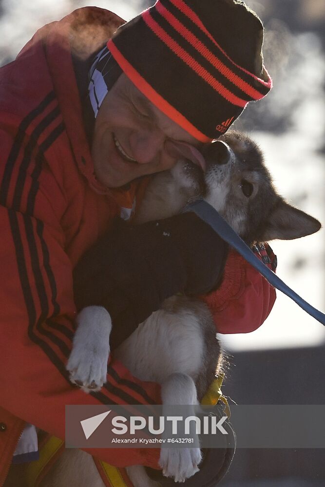 Russia Sled Dog Race