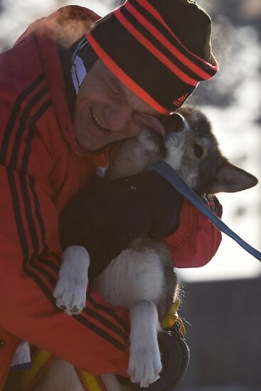 Russia Sled Dog Race