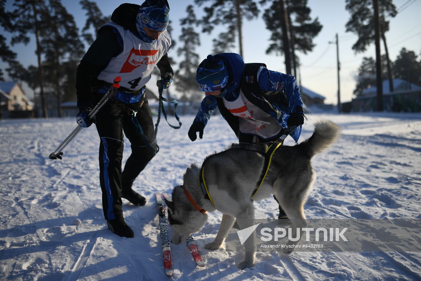 Russia Sled Dog Race