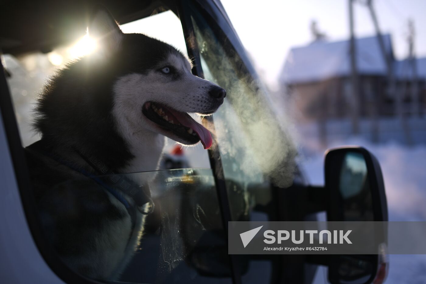 Russia Sled Dog Race