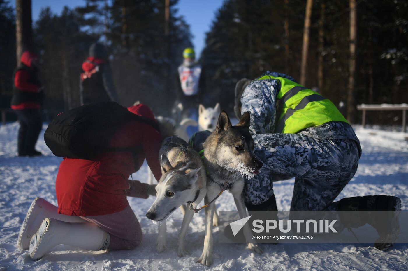 Russia Sled Dog Race