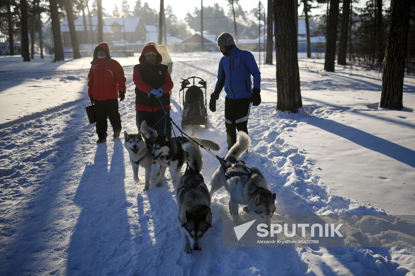 Russia Sled Dog Race