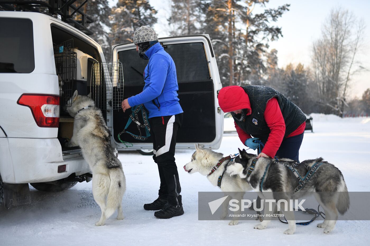 Russia Sled Dog Race
