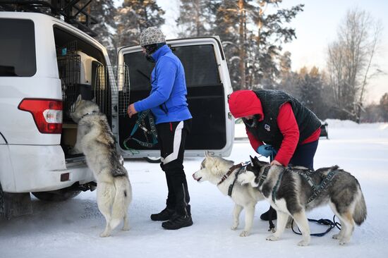Russia Sled Dog Race