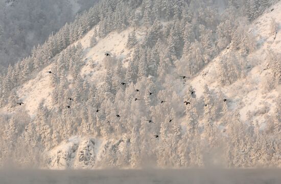 Russia Winter