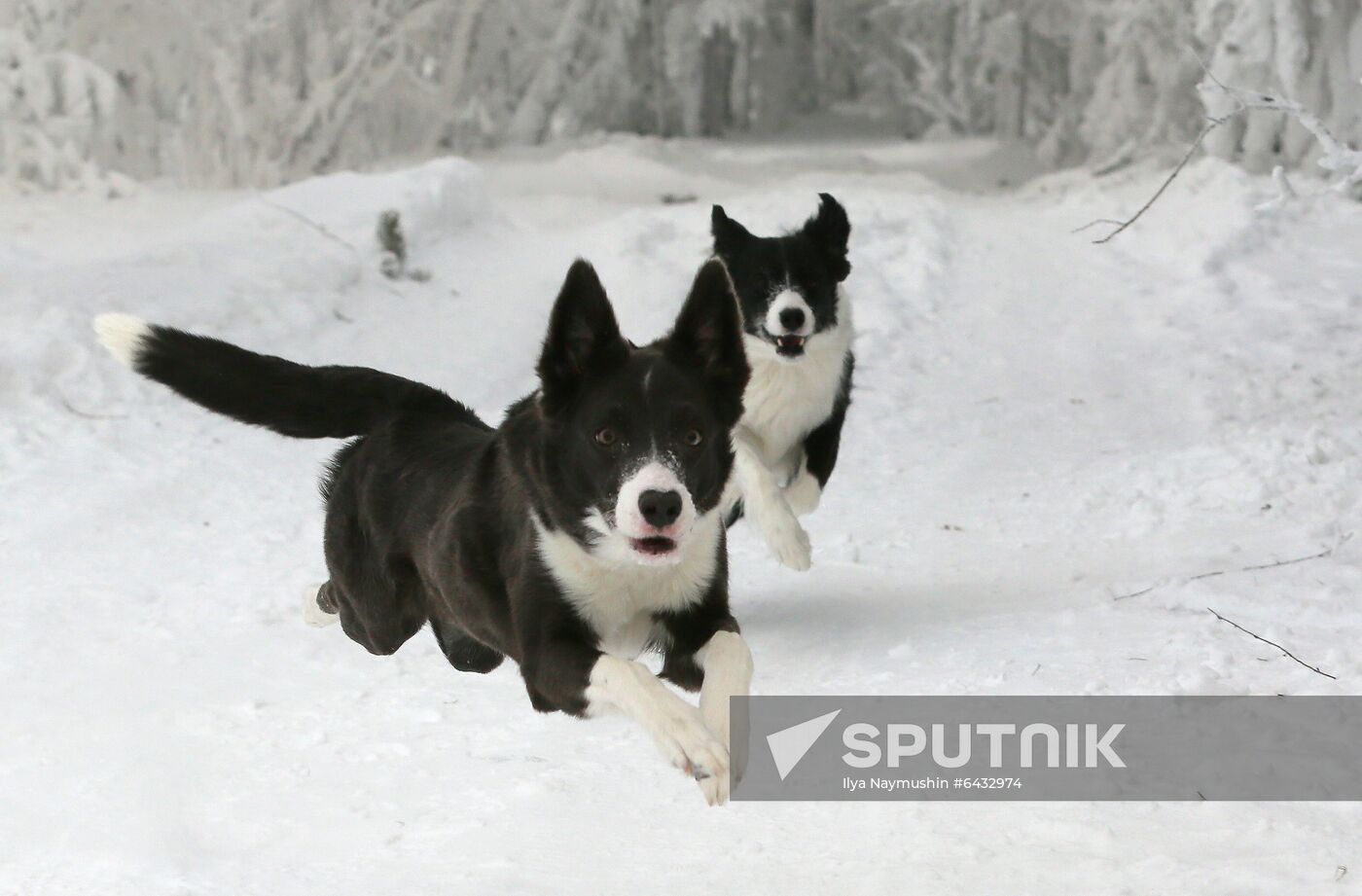 Russia Winter