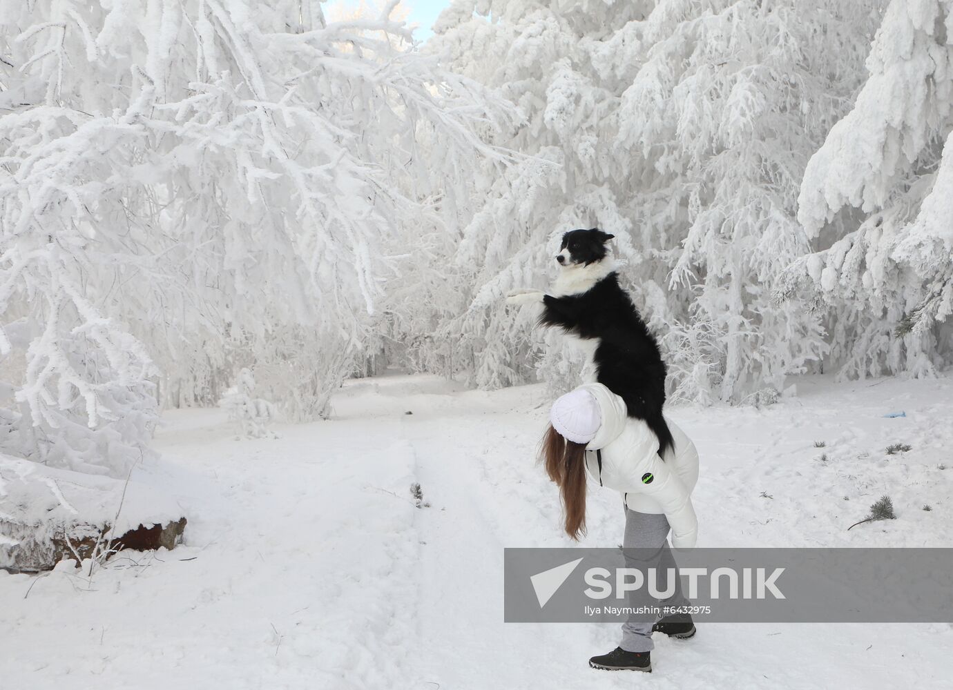 Russia Winter