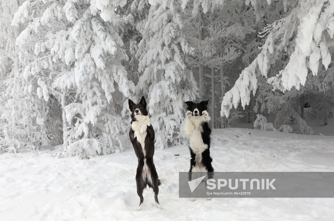 Russia Winter