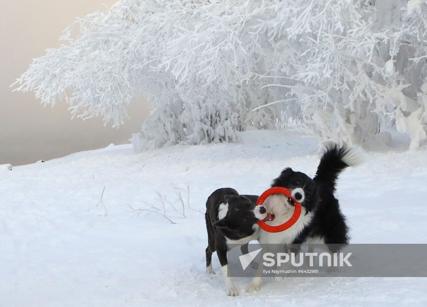 Russia Winter